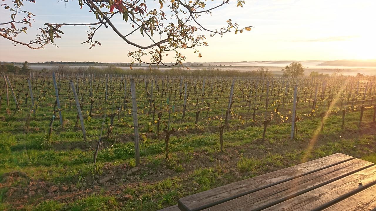 Hotel Weingut Familie Bauer Grossriedenthal Exteriér fotografie