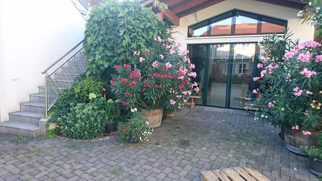 Hotel Weingut Familie Bauer Grossriedenthal Exteriér fotografie
